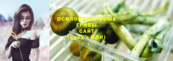 apvp Баксан