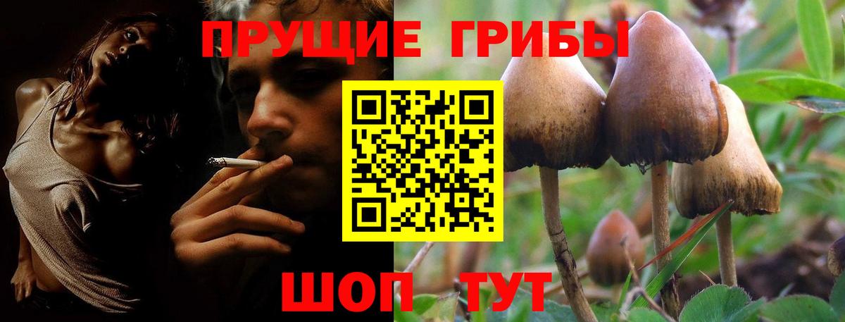 Гатчина  Псилоцибиновые грибы мицелий  Вход с VPN 